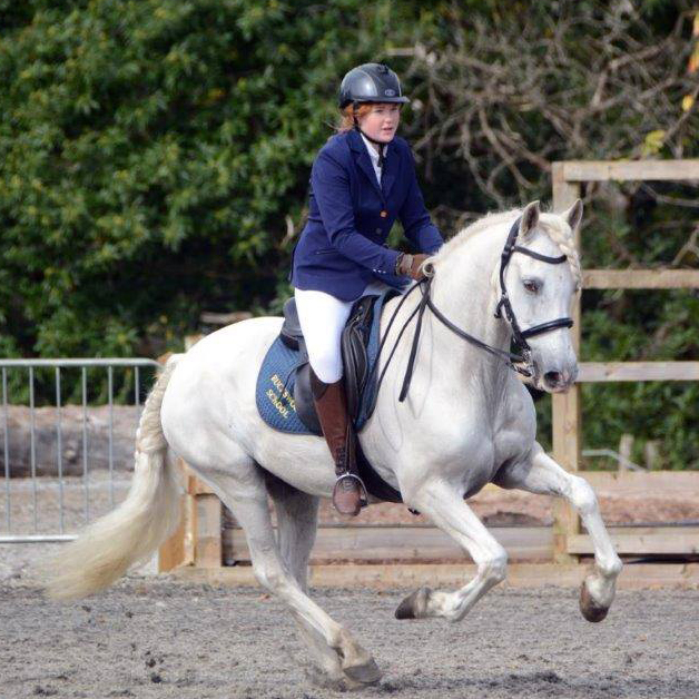 England Internat Reiten